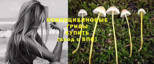 дмт Алапаевск