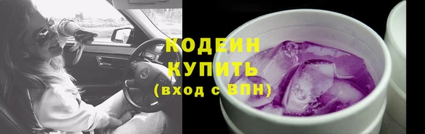крисы Майский