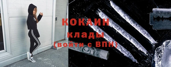 крисы Майский