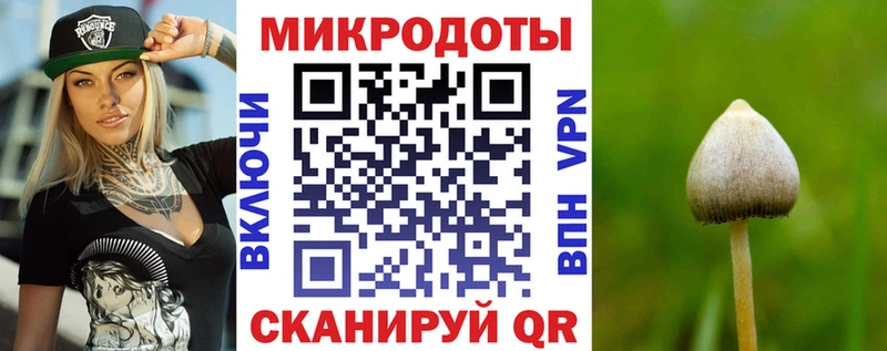 как найти закладки  Новое Девяткино  блэк спрут tor  Галлюциногенные грибы Psilocybe 